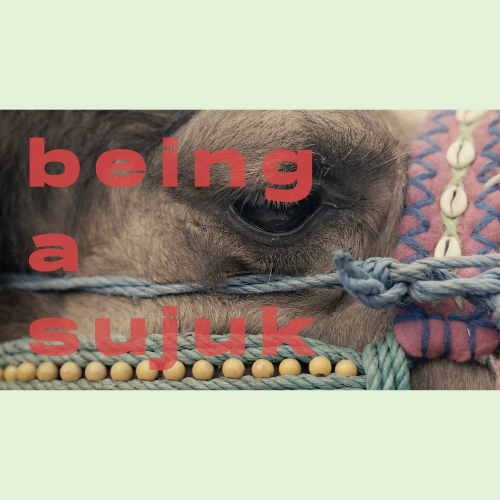 web sitesi görselleri 500x500 pixel (1)